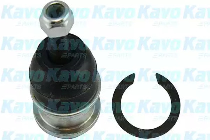 Несущий / направляющий шарнир KAVO PARTS SBJ-3032