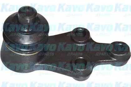 Шарнир KAVO PARTS SBJ-4014