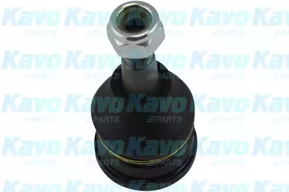 Шарнир KAVO PARTS SBJ-4523