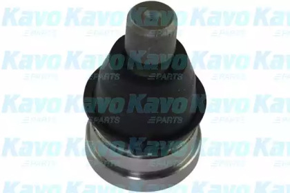 Шарнир KAVO PARTS SBJ-4525