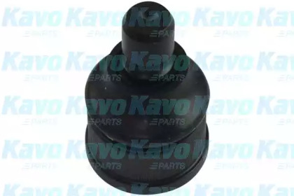 Шарнир KAVO PARTS SBJ-4528