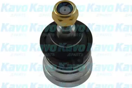 Несущий / направляющий шарнир KAVO PARTS SBJ-5501