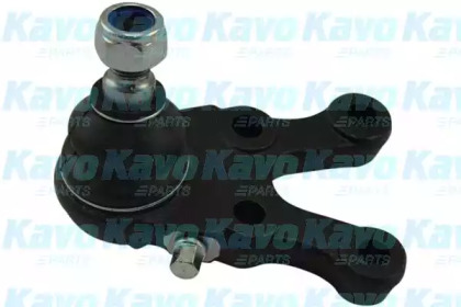 Шарнир KAVO PARTS SBJ-5507