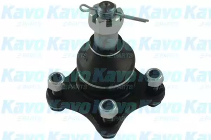 Шарнир KAVO PARTS SBJ-5508