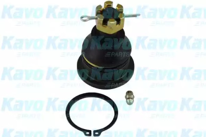 Шарнир KAVO PARTS SBJ-5515