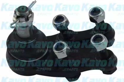 Шарнир KAVO PARTS SBJ-5520