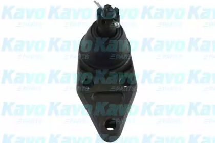 Шарнир KAVO PARTS SBJ-5528