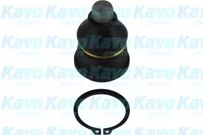 Шарнир KAVO PARTS SBJ-6505