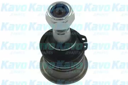 Несущий / направляющий шарнир KAVO PARTS SBJ-6508