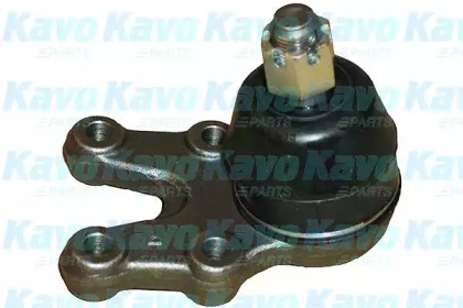 Шарнир KAVO PARTS SBJ-6521