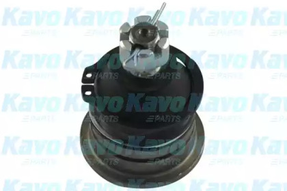 Шарнир KAVO PARTS SBJ-6526