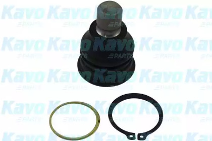 Шарнир KAVO PARTS SBJ-6541