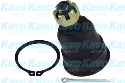 Шарнир KAVO PARTS SBJ-6543