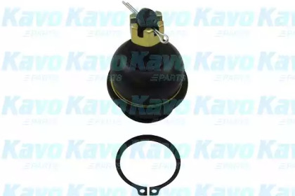 Шарнир KAVO PARTS SBJ-6555