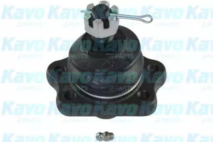 Шарнир KAVO PARTS SBJ-6556