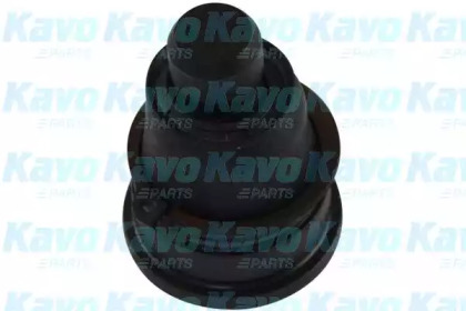 Шарнир KAVO PARTS SBJ-6561