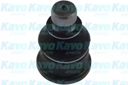 Шарнир KAVO PARTS SBJ-6563