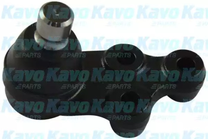 Шарнир KAVO PARTS SBJ-7505