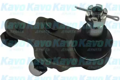 Шарнир KAVO PARTS SBJ-9001