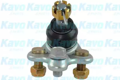 Шарнир KAVO PARTS SBJ-9021