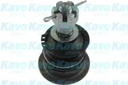 Шарнир KAVO PARTS SBJ-9066