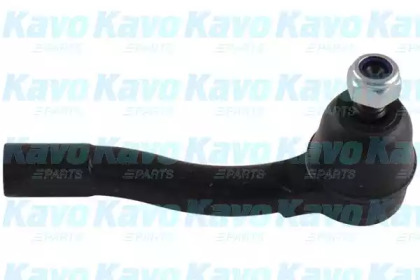 Шарнир KAVO PARTS STE-1004