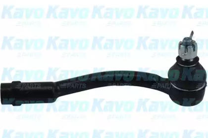 Шарнир KAVO PARTS STE-2021