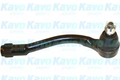 Шарнир KAVO PARTS STE-3021