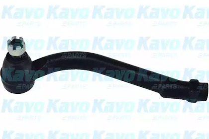 Шарнир KAVO PARTS STE-3024