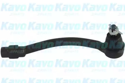 Шарнир KAVO PARTS STE-3048