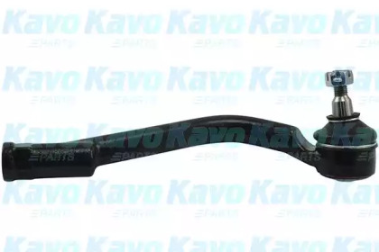 Шарнир KAVO PARTS STE-3067