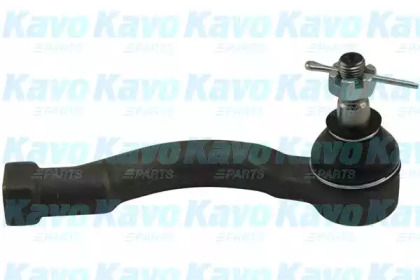 Шарнир KAVO PARTS STE-4011