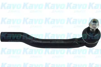 Шарнир KAVO PARTS STE-6555