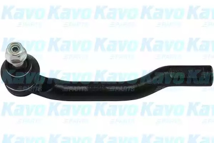 Шарнир KAVO PARTS STE-6556