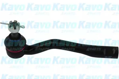 Шарнир KAVO PARTS STE-9059