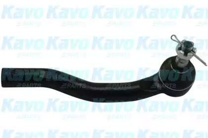 Шарнир KAVO PARTS STE-9091