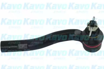 Шарнир KAVO PARTS STE-9095