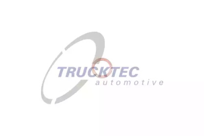 Уплотняющее кольцо TRUCKTEC AUTOMOTIVE 01.67.014