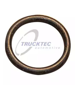 Прокладка, впускной коллектор TRUCKTEC AUTOMOTIVE 02.67.008