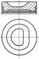 Поршень NÜRAL PI1611100DP STD