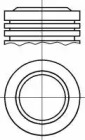 Поршень NÜRAL PI31690000DP