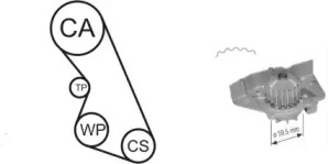 Водяной насос + комплект зубчатого ремня AIRTEX WPK-135901