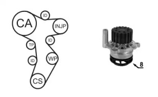Водяной насос + комплект зубчатого ремня AIRTEX WPK-199201