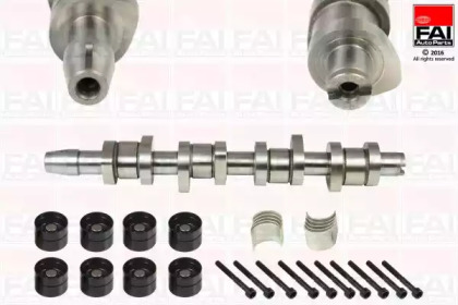 Комплект распредвала FAI AutoParts CSK315