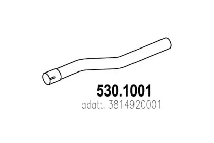  ASSO 530.1001