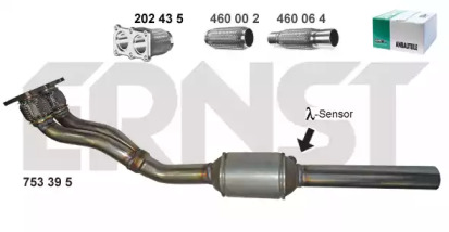 Катализатор ERNST 753395