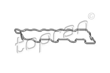 Прокладкa TOPRAN 401 455