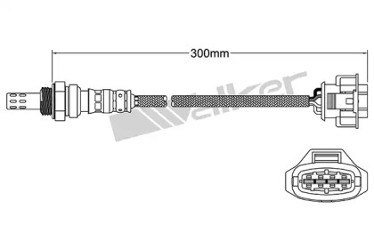 Датчик WALKER PRODUCTS 250-241030