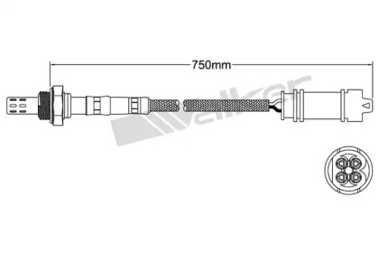 Датчик WALKER PRODUCTS 250-241092