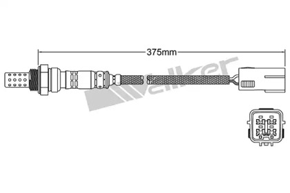 Датчик WALKER PRODUCTS 250-24271